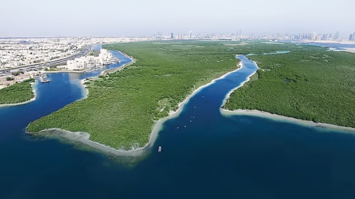 VAE pflanzen 100 Millionen Mangroven bis 2030 | Die Geissens Real Estate | Luxus Immobilien mit Carmen und Robert Geiss – Die Geissens in Dubai