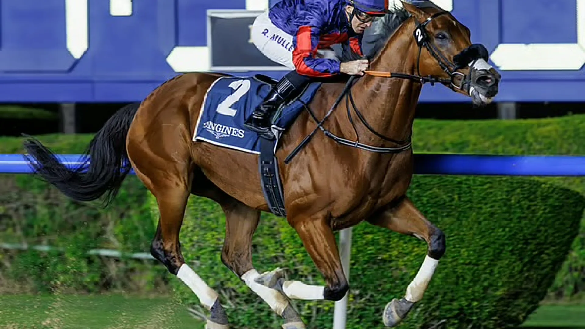 Fashion Friday in Meydan: Stil, Rennen, World-Cup-Träume | Die Geissens Real Estate | Luxus Immobilien mit Carmen und Robert Geiss – Die Geissens in Dubai